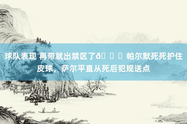 球队表现 再带就出禁区了😂帕尔默死死护住皮球，萨尔平直从死后犯规送点