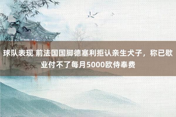 球队表现 前法国国脚德塞利拒认亲生犬子，称已歇业付不了每月5000欧侍奉费