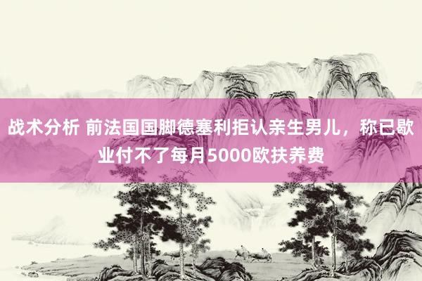 战术分析 前法国国脚德塞利拒认亲生男儿，称已歇业付不了每月5000欧扶养费