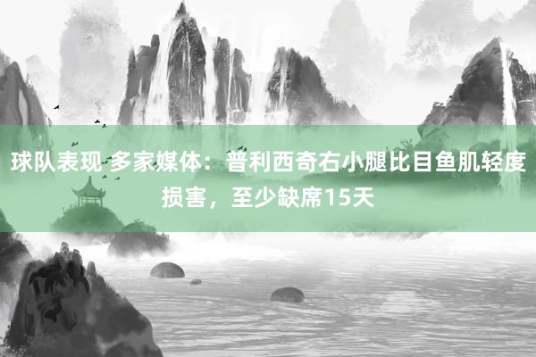 球队表现 多家媒体：普利西奇右小腿比目鱼肌轻度损害，至少缺席15天