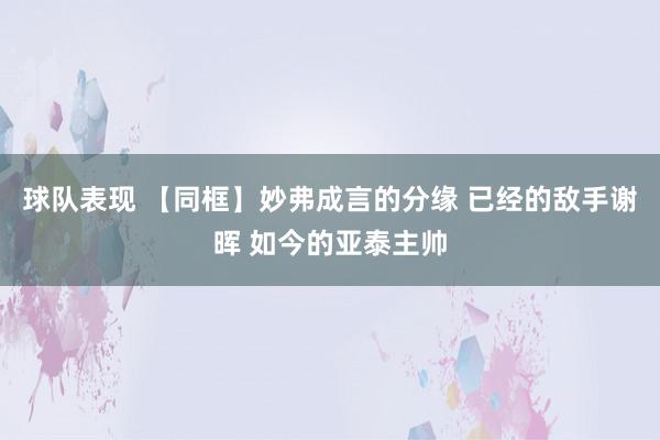 球队表现 【同框】妙弗成言的分缘 已经的敌手谢晖 如今的亚泰主帅