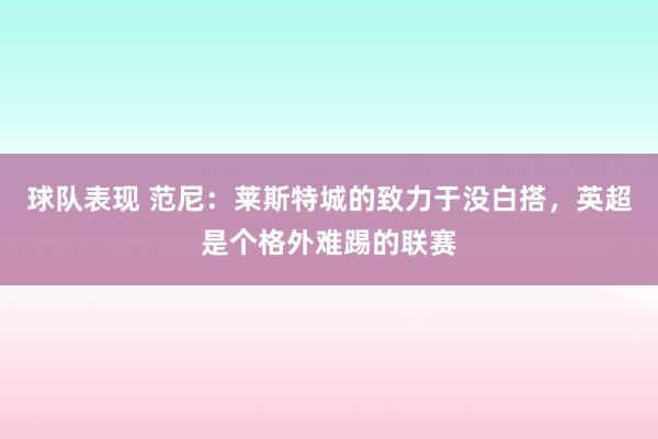 球队表现 范尼：莱斯特城的致力于没白搭，英超是个格外难踢的联赛